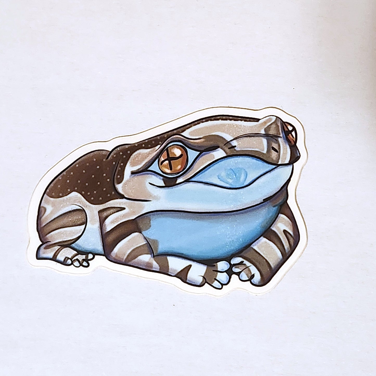 Amazon milk tree frog